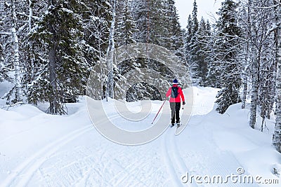 Cross country skiing in Yllas, Finland Stock Photo