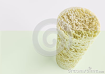 Cross section of an advanced osteoporosis -high details - Stage 4 - 3d rendering Stock Photo