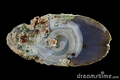 Cross section of agate Stock Photo