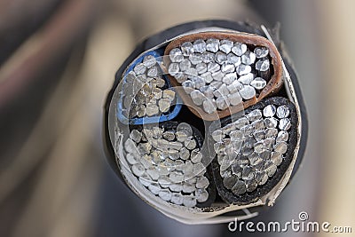 Cross section of black industrial underground cable 2 Stock Photo