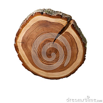 Cross section of cherry tree trunk showing growth rings isolated on transparent background with clipping path Stock Photo