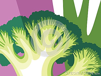 Cross section and close-up of Broccoli florets. Vector Illustration