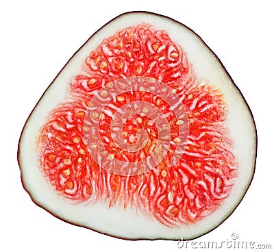 Cross-section of fig tree fruit Stock Photo