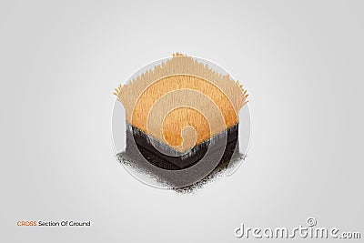 Cross Section Of Ground Wheat Isometric Background Stock Photo