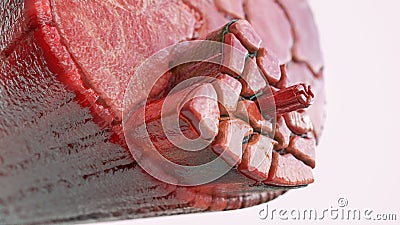 Cross section through a muscle with visible muscle fibers - 3D Rendering Stock Photo