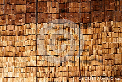 Cross section of sawn timber,Selection of freshly sawn timber material Stock Photo