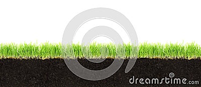 Cross-section of soil and grass Stock Photo