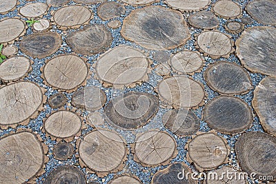 Cross section of a tree abstract background Stock Photo