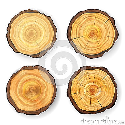 Cross Section Tree Set Wooden Stump Vector. Circles Texture Isolated. Tree Round Cut With Annual Rings Vector Illustration