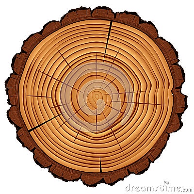 Cross section of tree stump isolated on white Vector Illustration