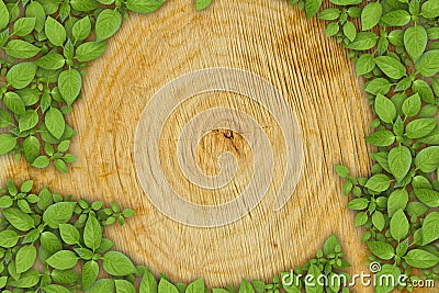 Cross section of tree trunk with green plant Stock Photo