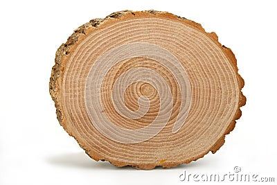 Cross section of tree trunk showing growth rings Stock Photo