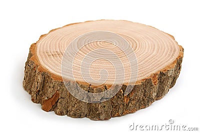 Cross section of tree trunk showing growth rings Stock Photo