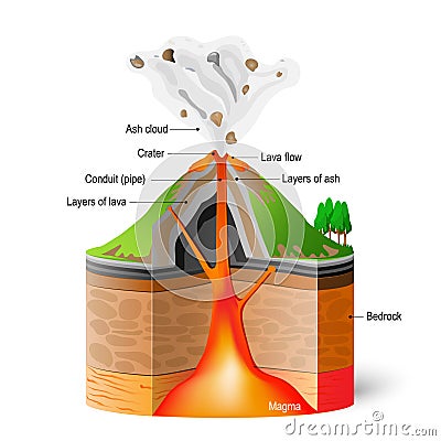 Cross-section of volcano Vector Illustration