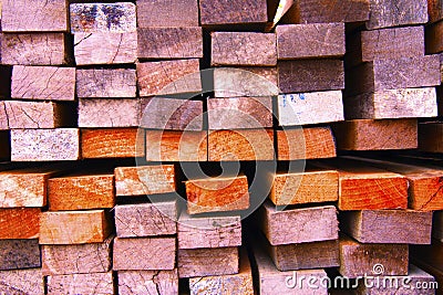 Cross section of wood pile Stock Photo