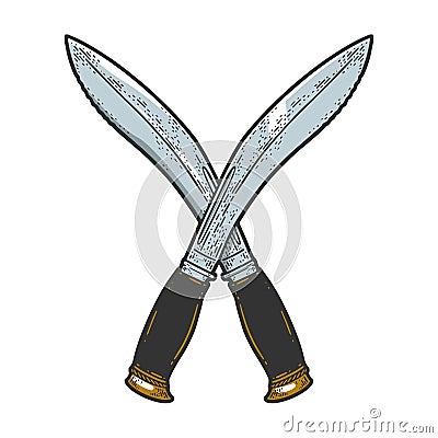 Crossed machete color sketch vector Vector Illustration