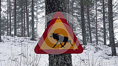 Crossing moose road sign on tree in winter in Sweden Stock Photo