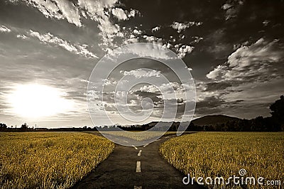 Crossroad Stock Photo