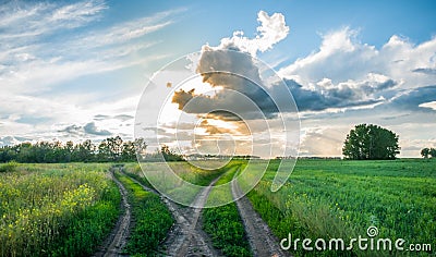 Crossroads in the field at sunset. Split country road. Beautiful clouds. Rural landscape Stock Photo