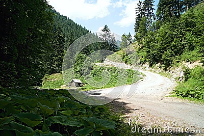 Crossroads in the Ilanovska Valley, where there is a feeder for wild forest animals Stock Photo