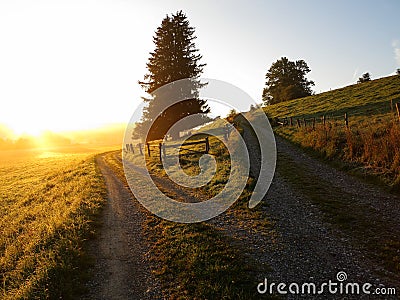 Crossroads by sunrise country road forks into two ways Stock Photo