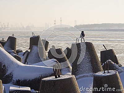 A crow on the background of the Baltic Sea and the port of Klaipeda in Lithuania on a sunny winter day Stock Photo