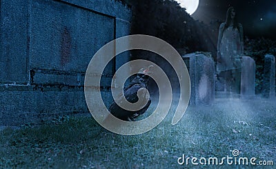 Crow on a cemetry in front of a gravestone with a ghost in background Stock Photo