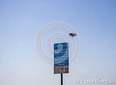 Crow is flying away from parking meter post. Shot was taken in Ajman emirate. UAE Editorial Stock Photo
