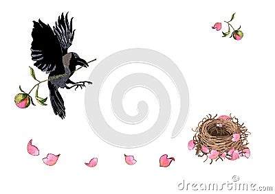 Crow flying with flower in beak. Mother bird builds her nest with peony petals, watercolor hand drawn. Stock Photo
