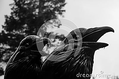 Crow and Raven Statue Stock Photo