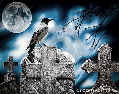 Crow sitting on a gravestone in moonlight at cemetery Stock Photo