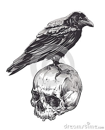 Crow on Skull Vector Illustration