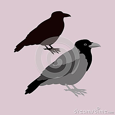 crow vector illustration style flat silhouette Vector Illustration