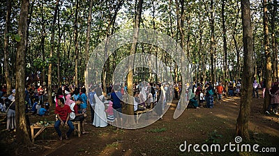 Crowd of anonymous people walking through forest jati trees Stock Photo