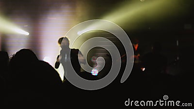 Crowd partying at a concert or a night club. Stock Photo