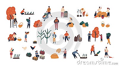 Crowd of tiny people gathering crops or seasonal harvest. Bundle of men and women collecting ripe fruits, berries and Vector Illustration