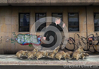 Crowded City, Rat Race, Rats Stock Photo