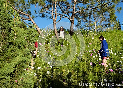 Crowded, Dalat flower park, festival, spring, tourist Editorial Stock Photo