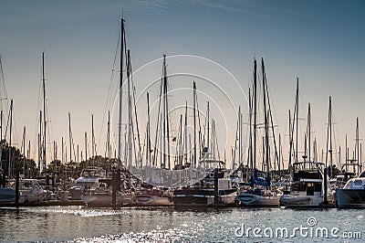 Crowded masts in Point Roberts marina Stock Photo