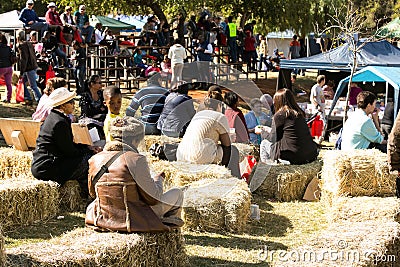Crowds of diverse people sitting in the beer garden at outdoor farmer`s market Editorial Stock Photo