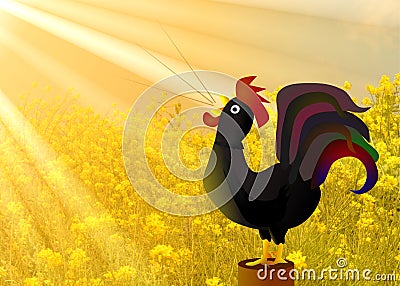 Crowing rooster golden sunshine morning Stock Photo