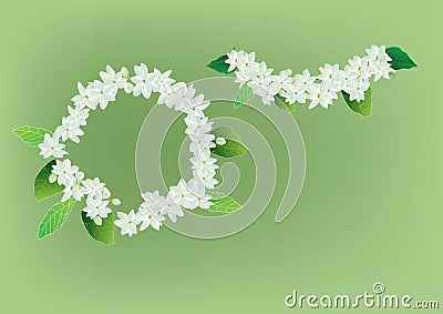 Crown jasmine flowers with leaves top view and side view . Cartoon Illustration