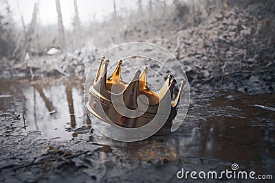 Crown in the muddy water Stock Photo