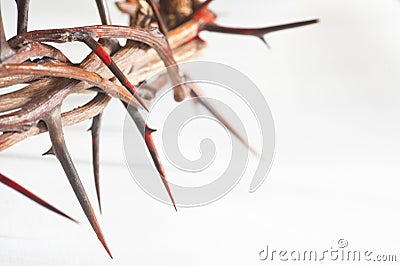 Crown of thorns Stock Photo