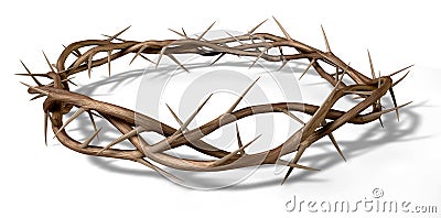 A Crown Of Thorns Stock Photo