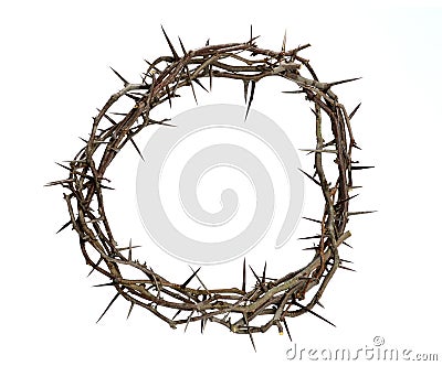 Crown of Thorns Stock Photo