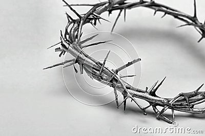 Crown of Thorns Stock Photo