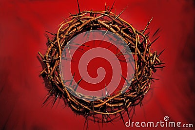 Crown of Thorns Stock Photo