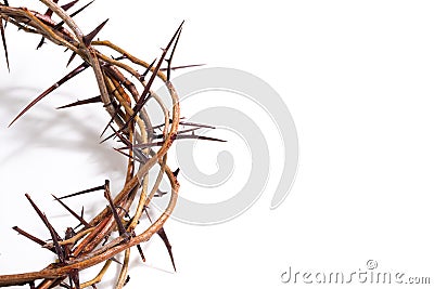 A crown of thorns on a white background - Easter. religion. Stock Photo