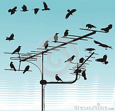 Crows on television aerials Vector Illustration